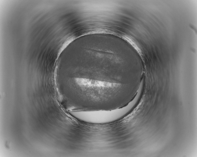 X0000095511097200712281432