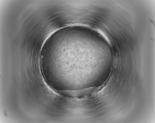 X0000095511100200712281432