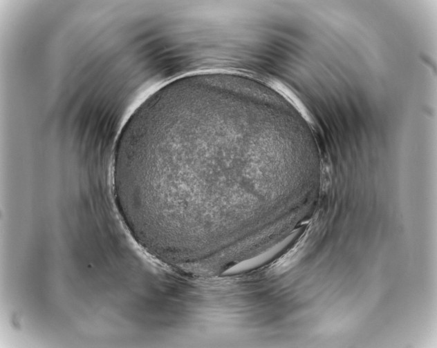 X0000095511101200712281432