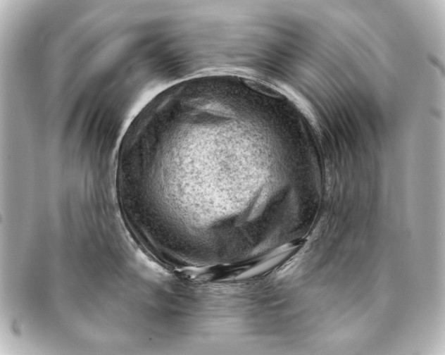 X0000095511102200712281432