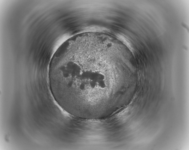 X0000095511103200712281432