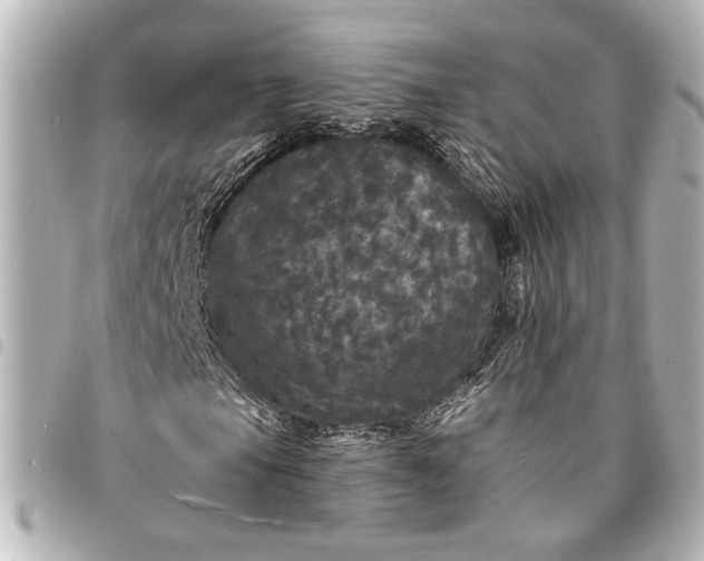 X0000095511105200712281431
