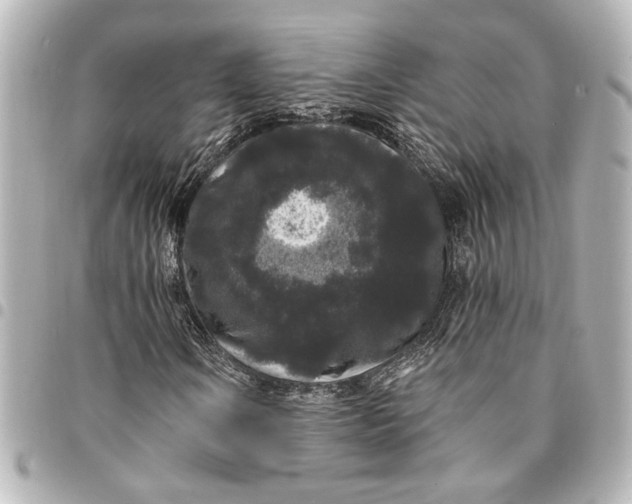 X0000095511106200712281431