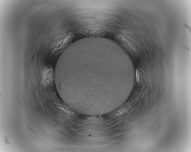 X0000095511107200712281431