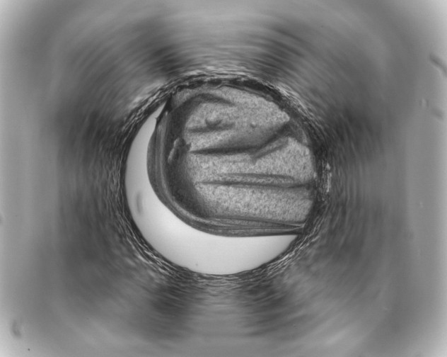 X0000095511110200712281431