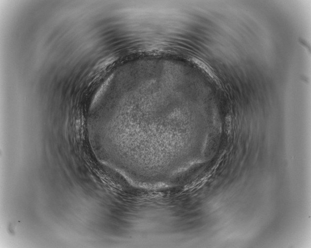 X0000095511111200712281431