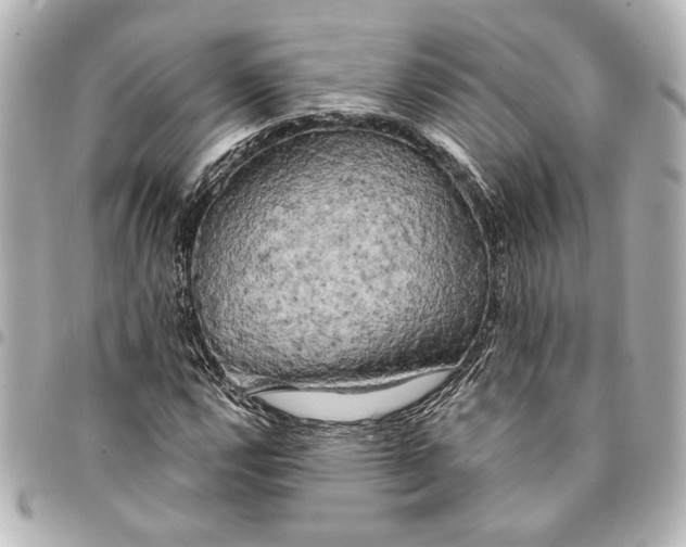X0000095511112200712281431