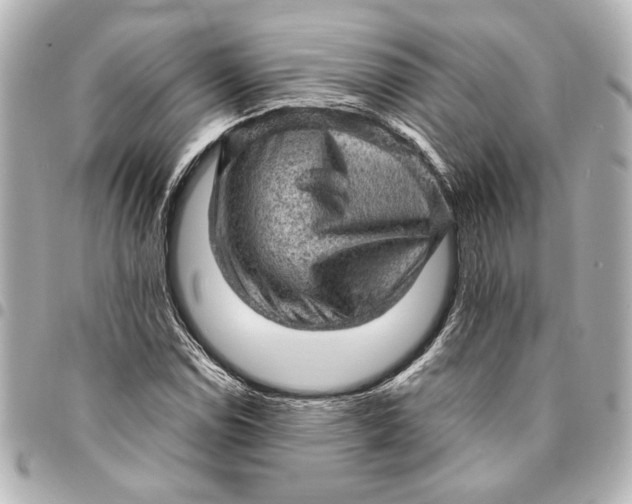 X0000095511114200712281431