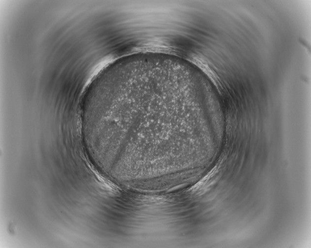 X0000095511115200712281431