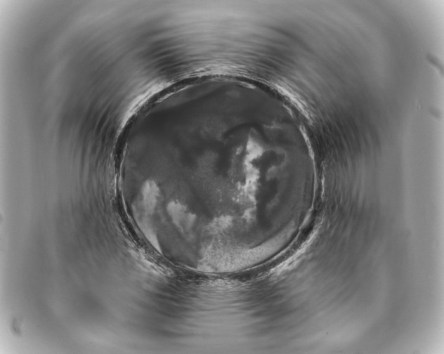 X0000095511117200712281432