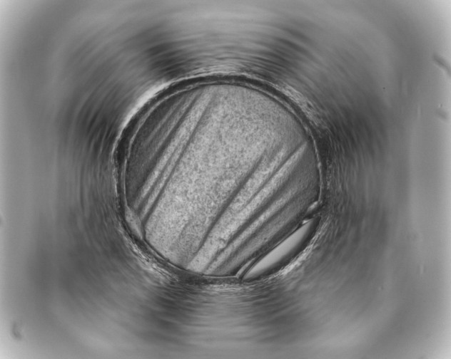 X0000095511118200712281432