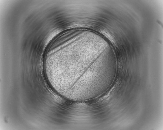 X0000095511119200712281432