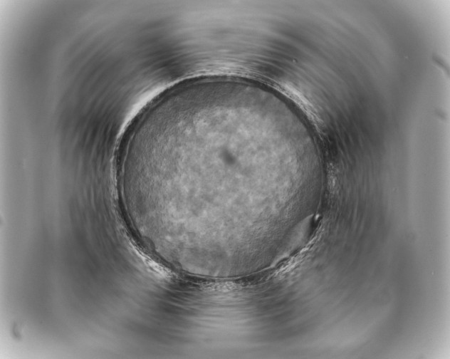 X0000095511120200712281432