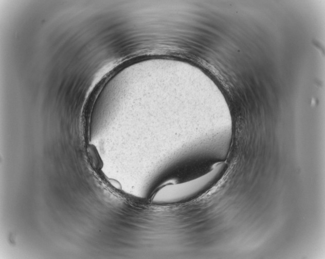 X0000095511122200712281432