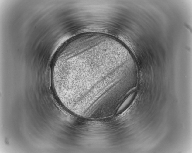 X0000095511123200712281432
