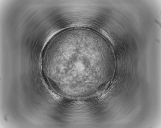 X0000095511124200712281432