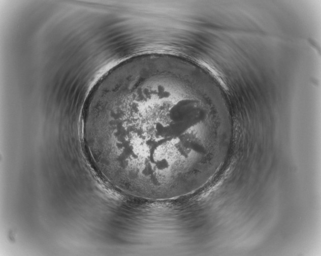 X0000095511125200712281432