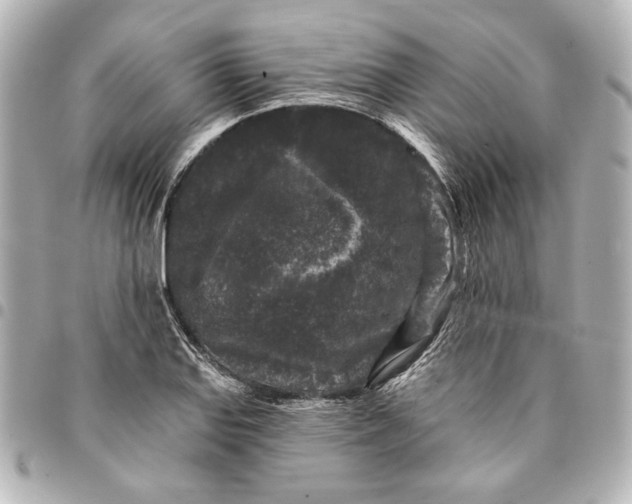 X0000095511127200712281432