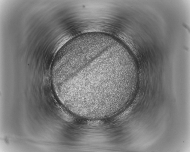X0000095511129200712281432
