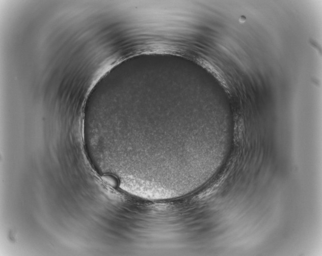 X0000095511130200712281432