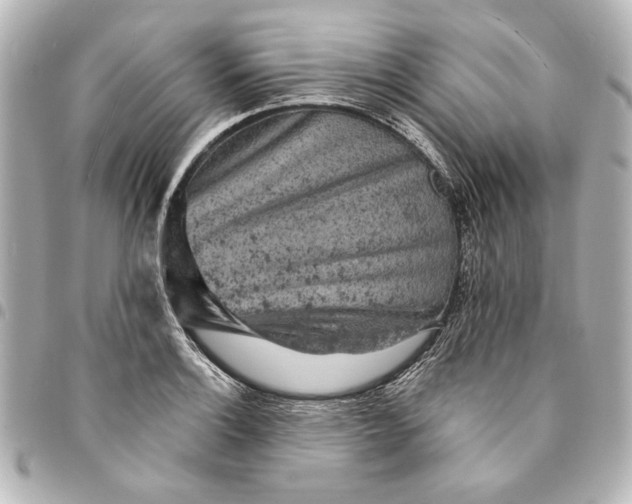 X0000095511132200712281432