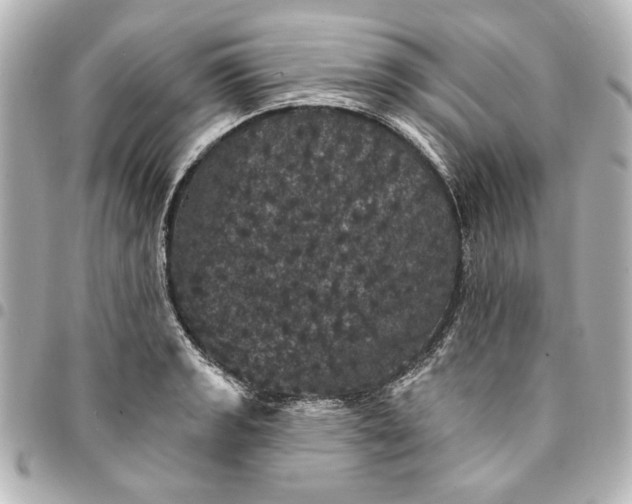 X0000095511133200712281432