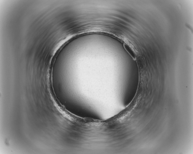 X0000095511134200712281432