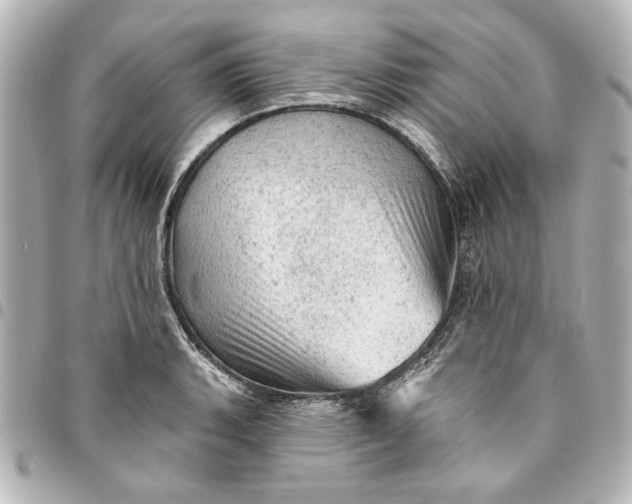 X0000095511135200712281432