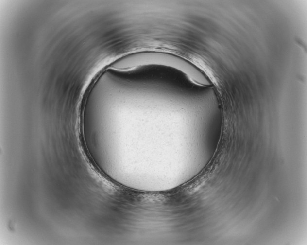 X0000095511136200712281432