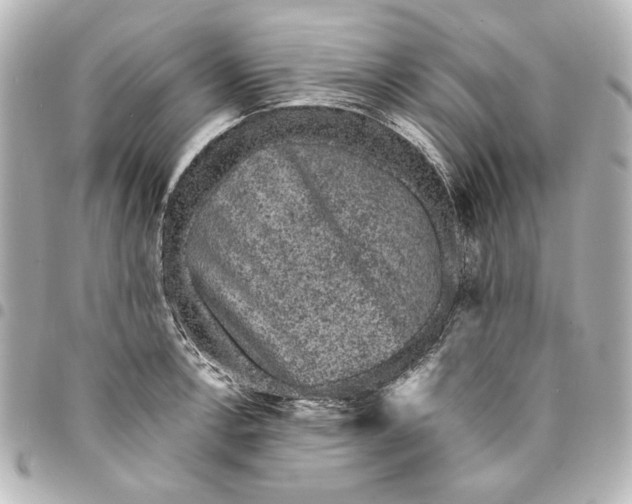 X0000095511138200712281432
