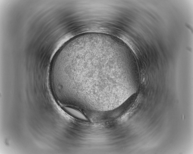 X0000095511139200712281432