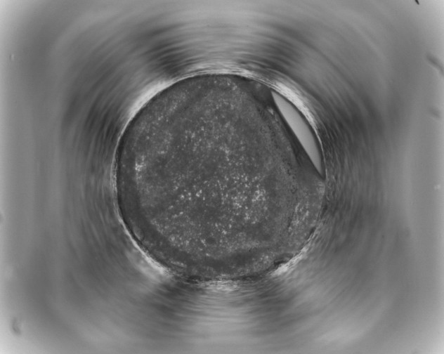 X0000095511141200712281432
