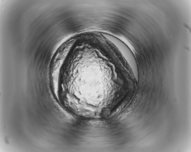 X0000095511142200712281432