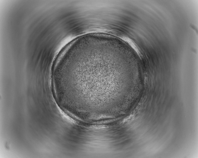 X0000095511143200712281432
