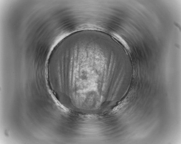 X0000095511144200712281432