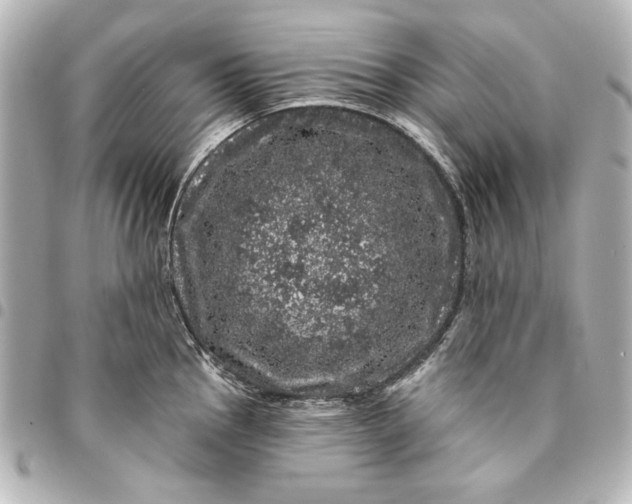 X0000095511145200712281432