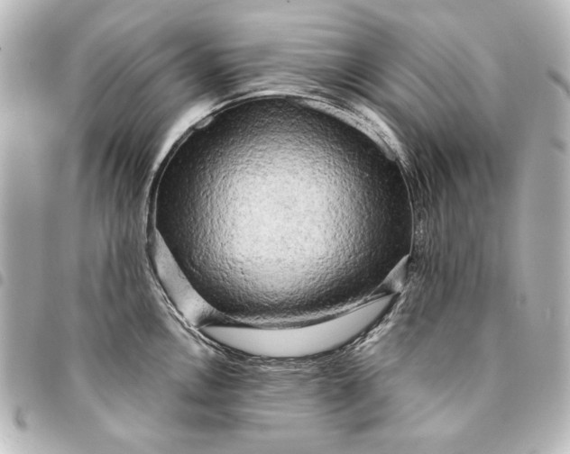 X0000095511146200712281432
