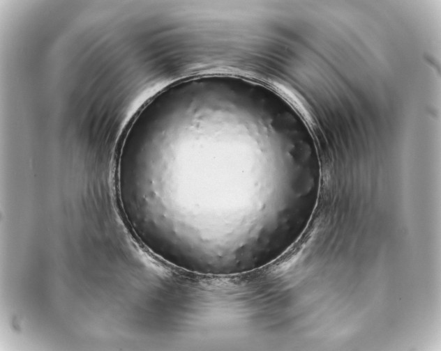 X0000095511149200712281432