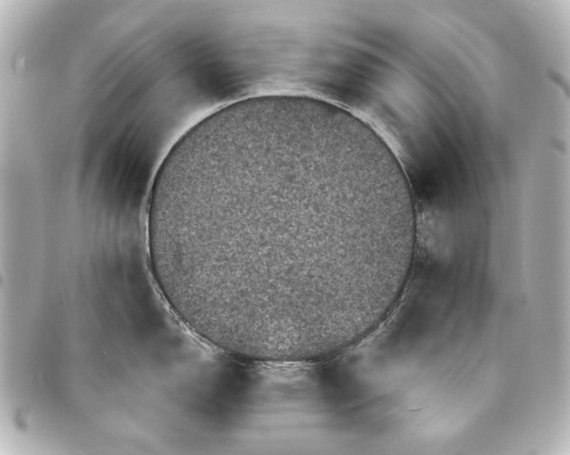 X0000095511150200712281432