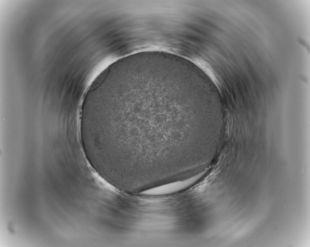 X0000095511151200712281432