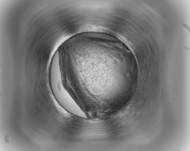 X0000095511152200712281432