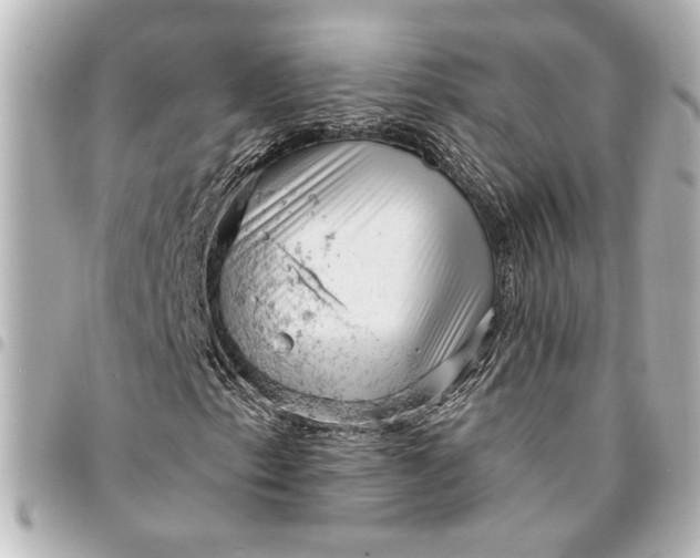 X0000095511153200712281431