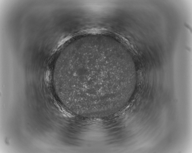 X0000095511158200712281431