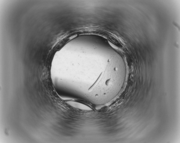 X0000095511160200712281431
