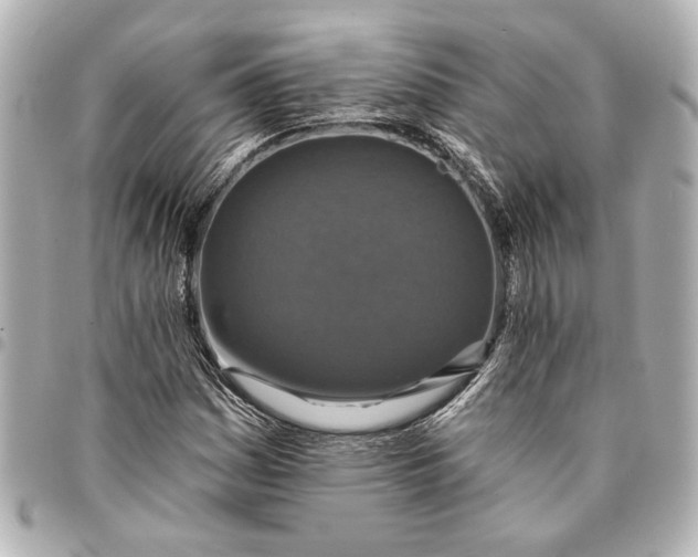 X0000095511161200712281431