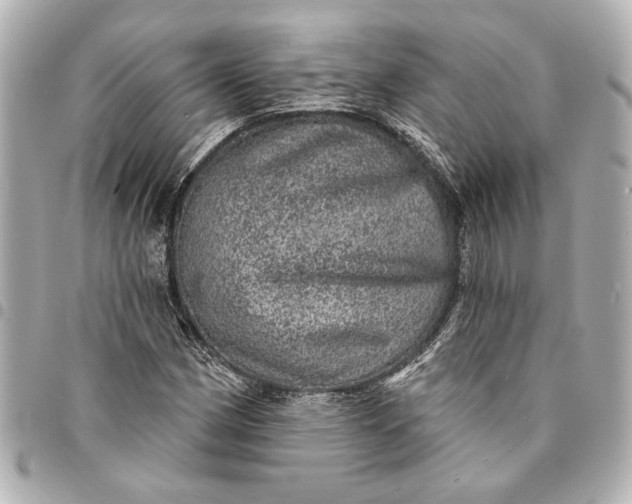 X0000095511162200712281431