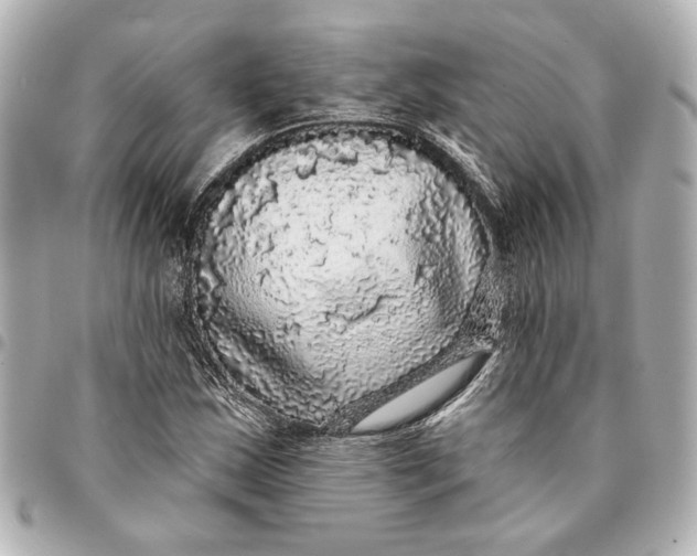 X0000095511163200712281431