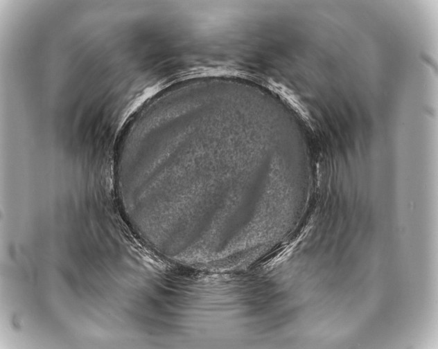 X0000095511165200712281431