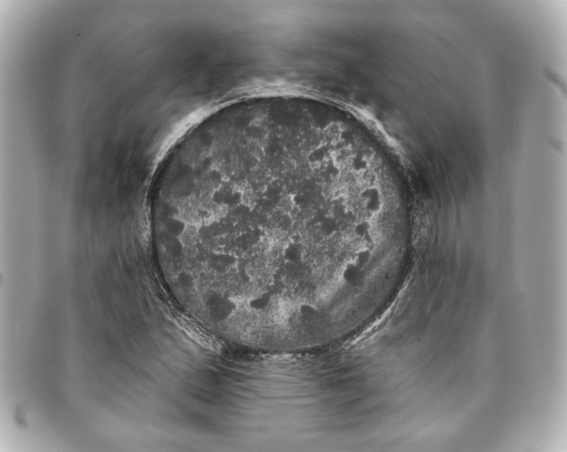 X0000095511167200712281431
