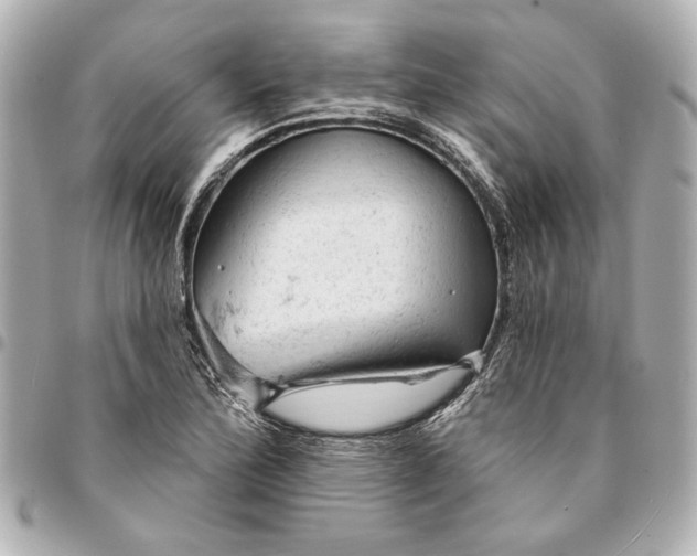 X0000095511172200712281431